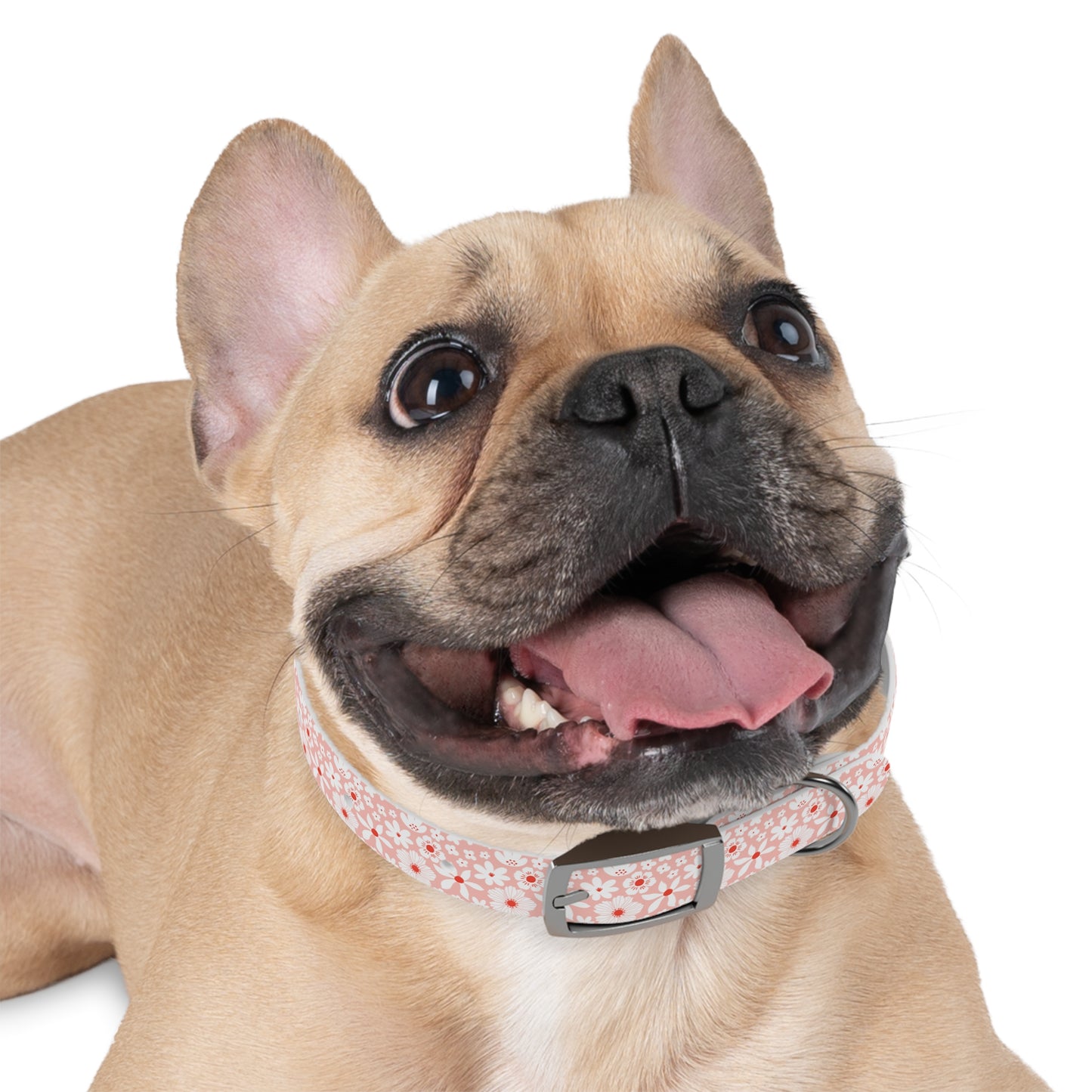 Customized Pink Boho Design Dog Collar - "Daisy"