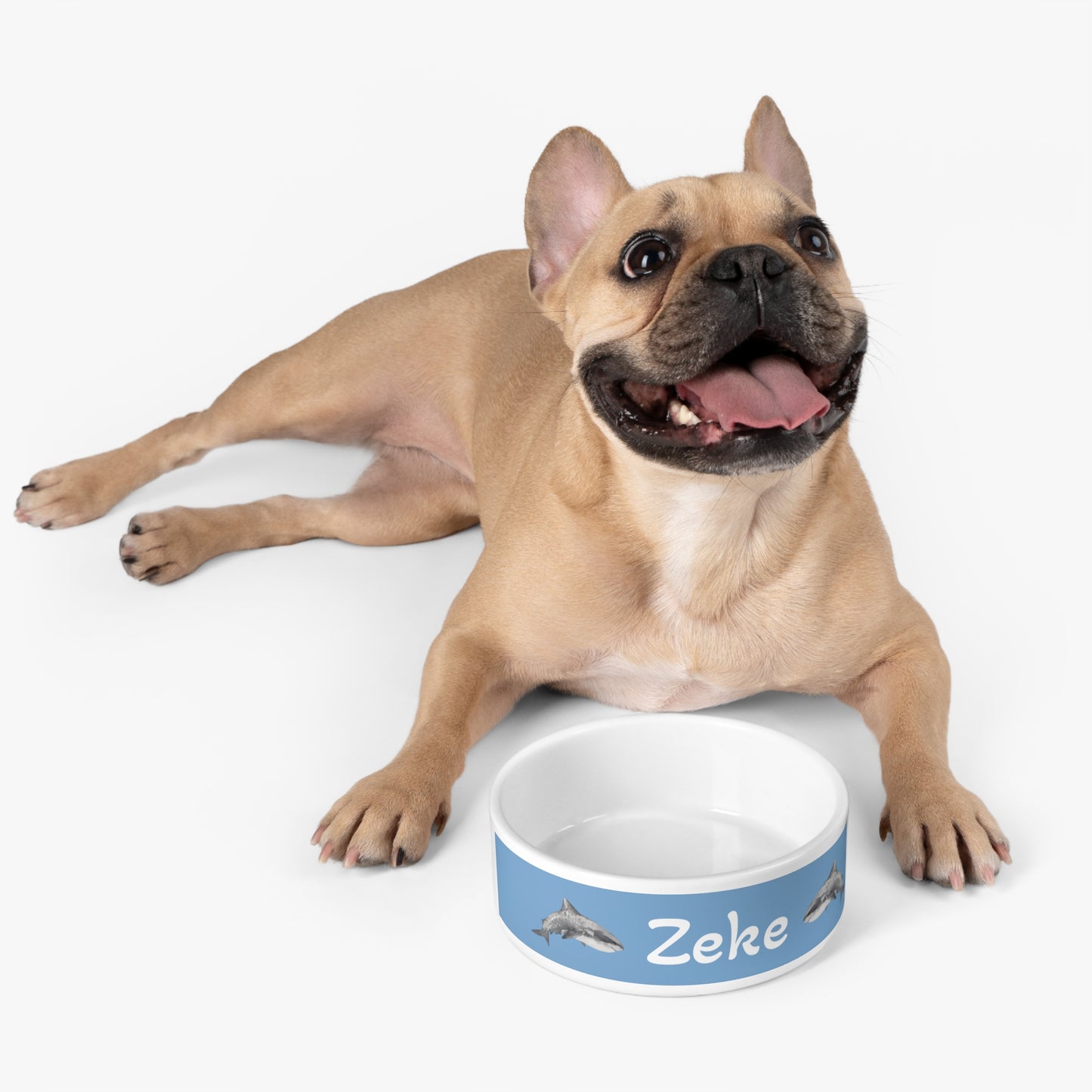 Customized Pet Bowl - "Zeke"