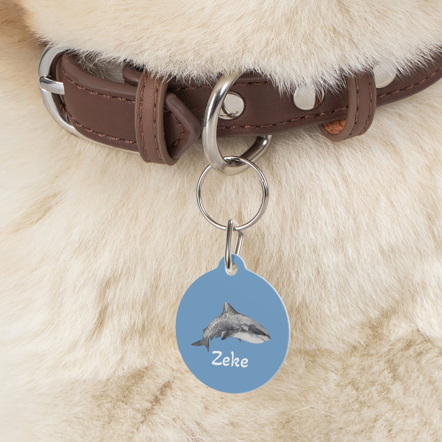 Customized Pet ID Tag - Zeke