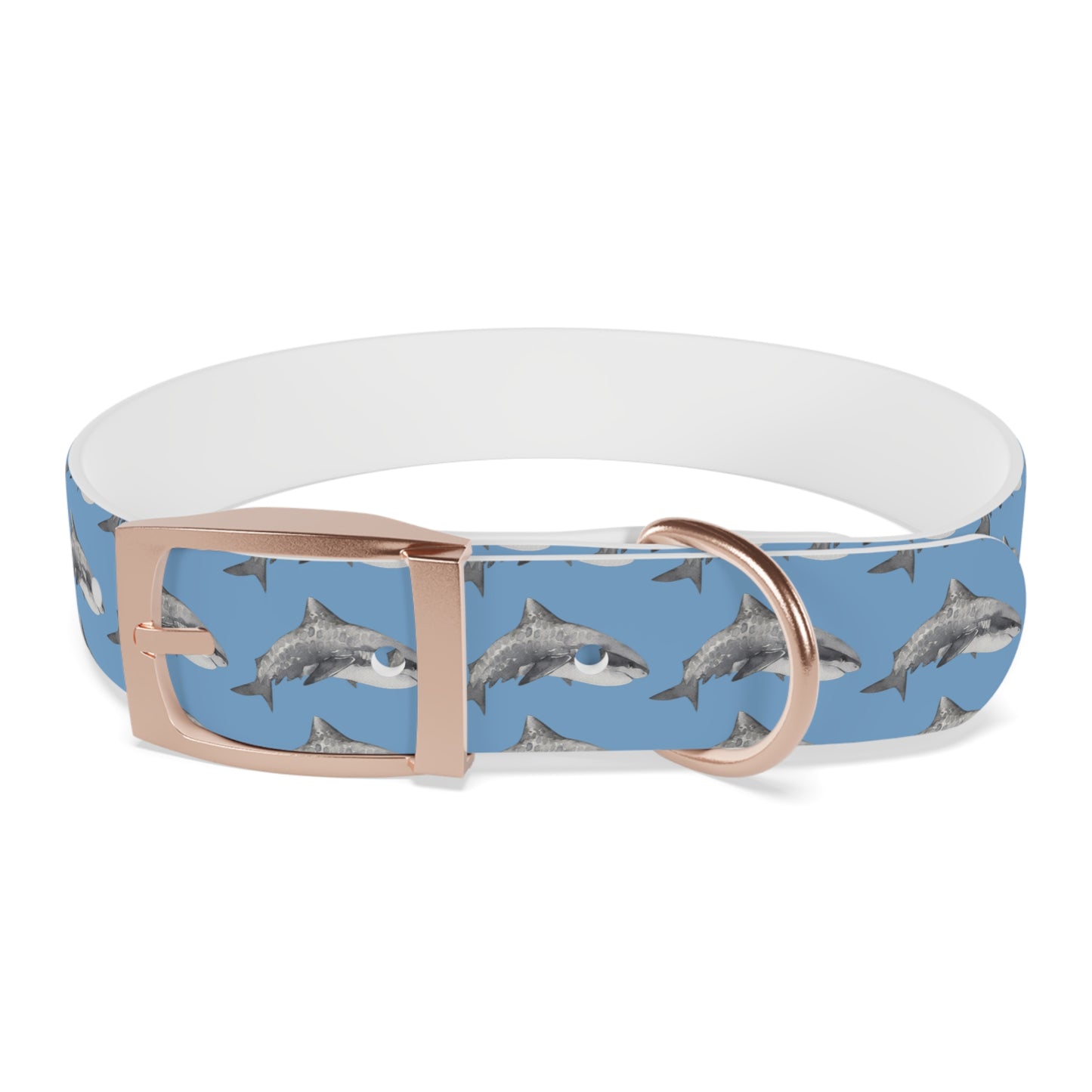 Customized Tiger Shark Design Dog Collar - "Zeke"