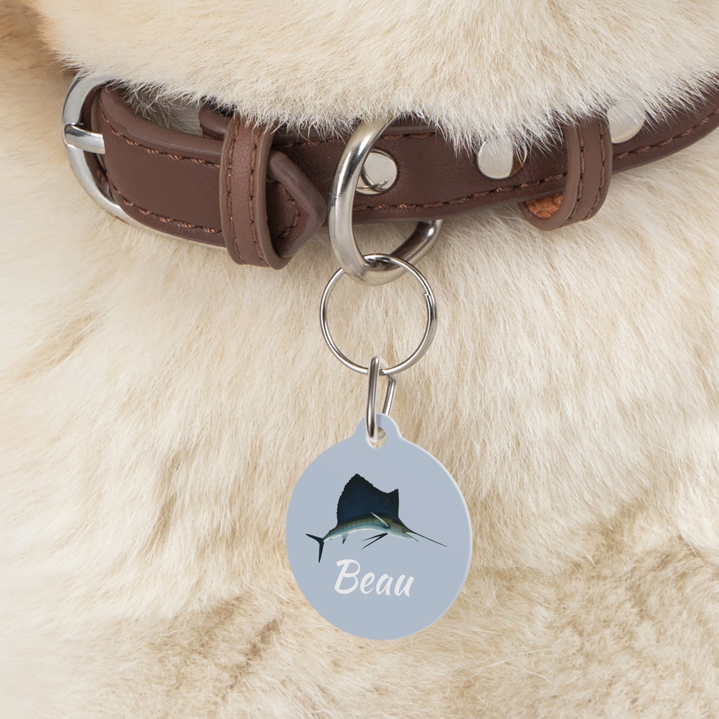 Customized Pet ID Tag - "Beau"