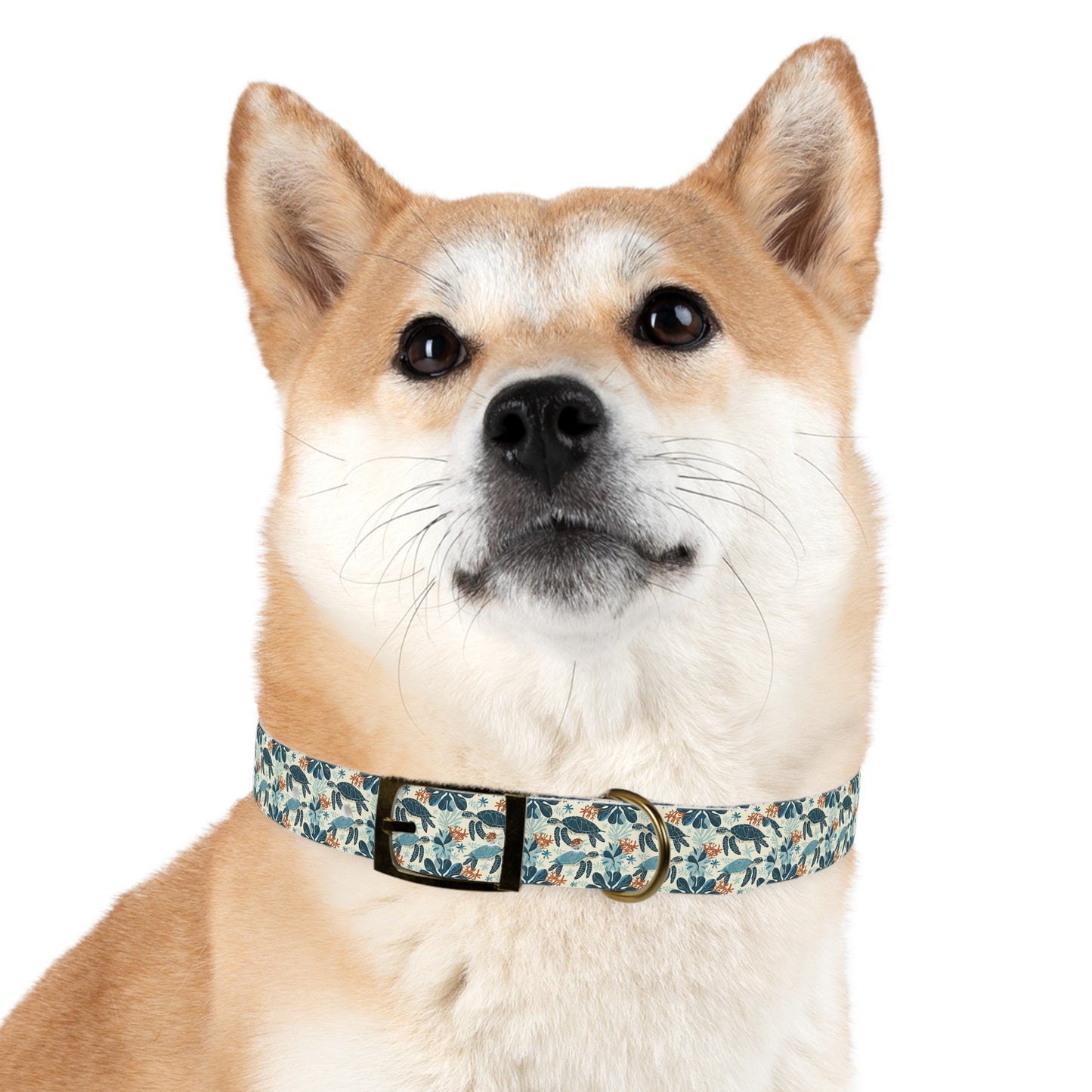 Customized Sea Turtle Design Dog Collar - "Cooper"