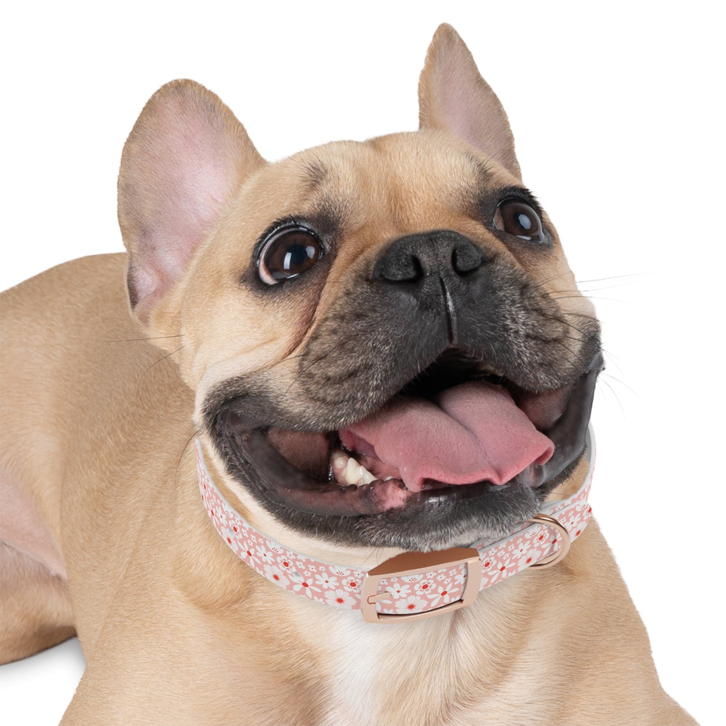 Customized Pink Boho Design Dog Collar - "Daisy"