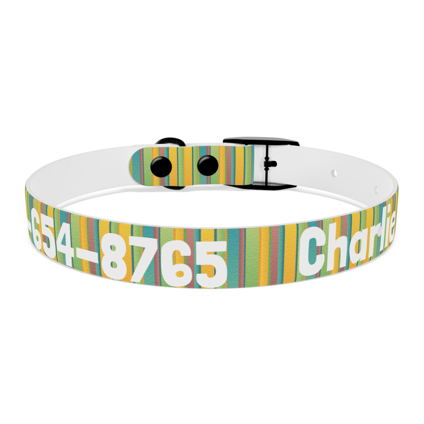 Colorful Personalized Dog Collar