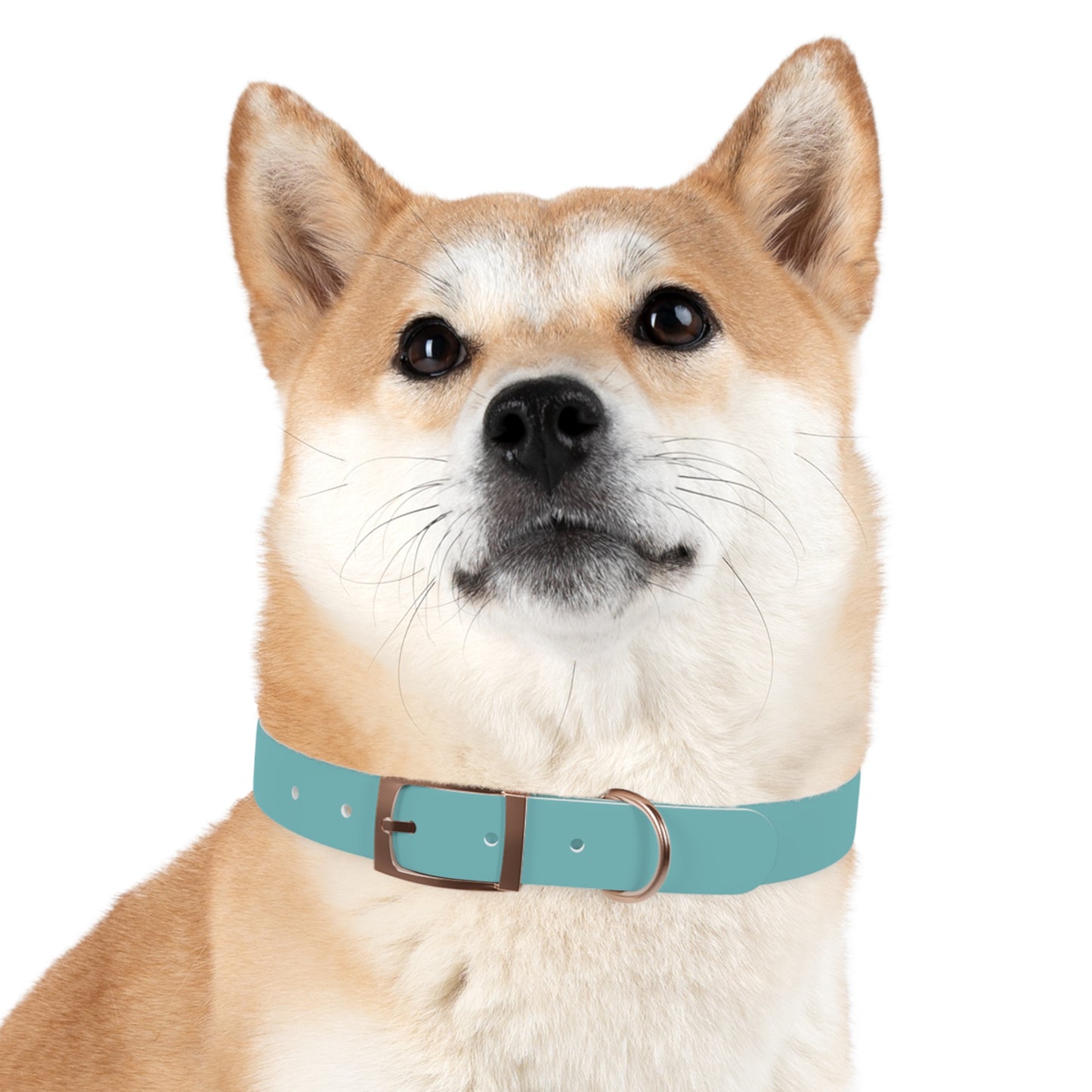 Customized Deep Sea Green Dog Collar, With Phone Number - "Lucy"