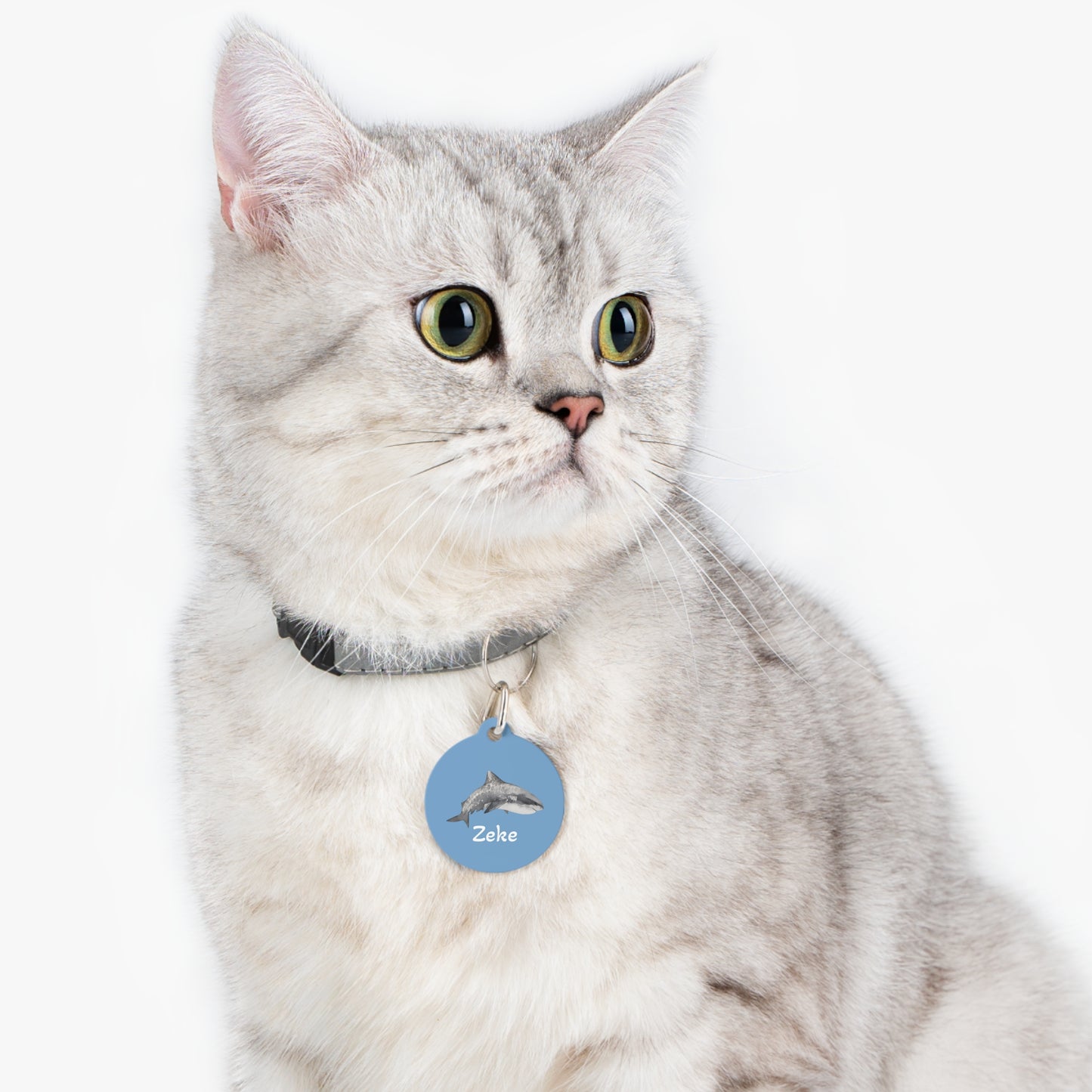 Customized Pet ID Tag - Zeke