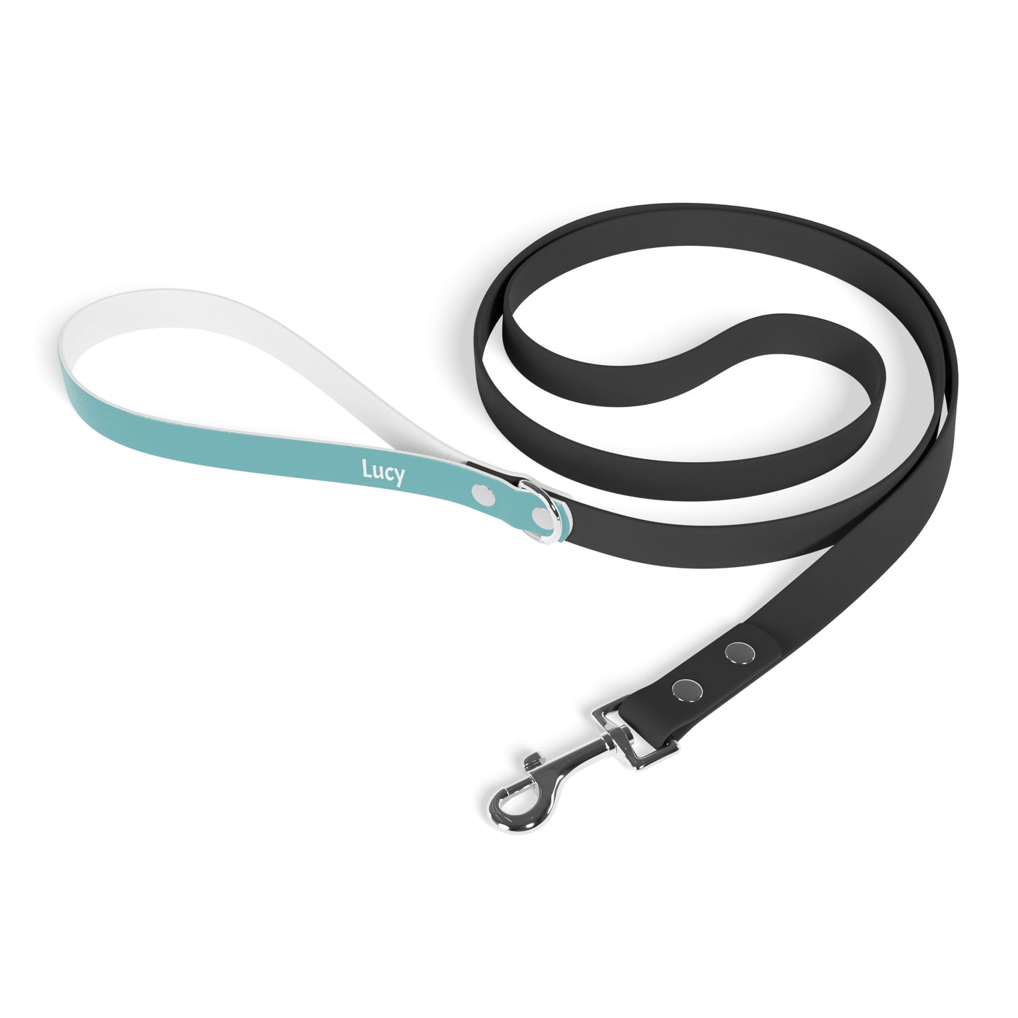 Customized Pet Leash - "Lucy" - 78" Sea Green Leash
