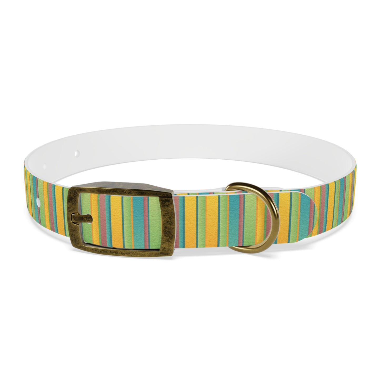 Colorful Personalized Dog Collar