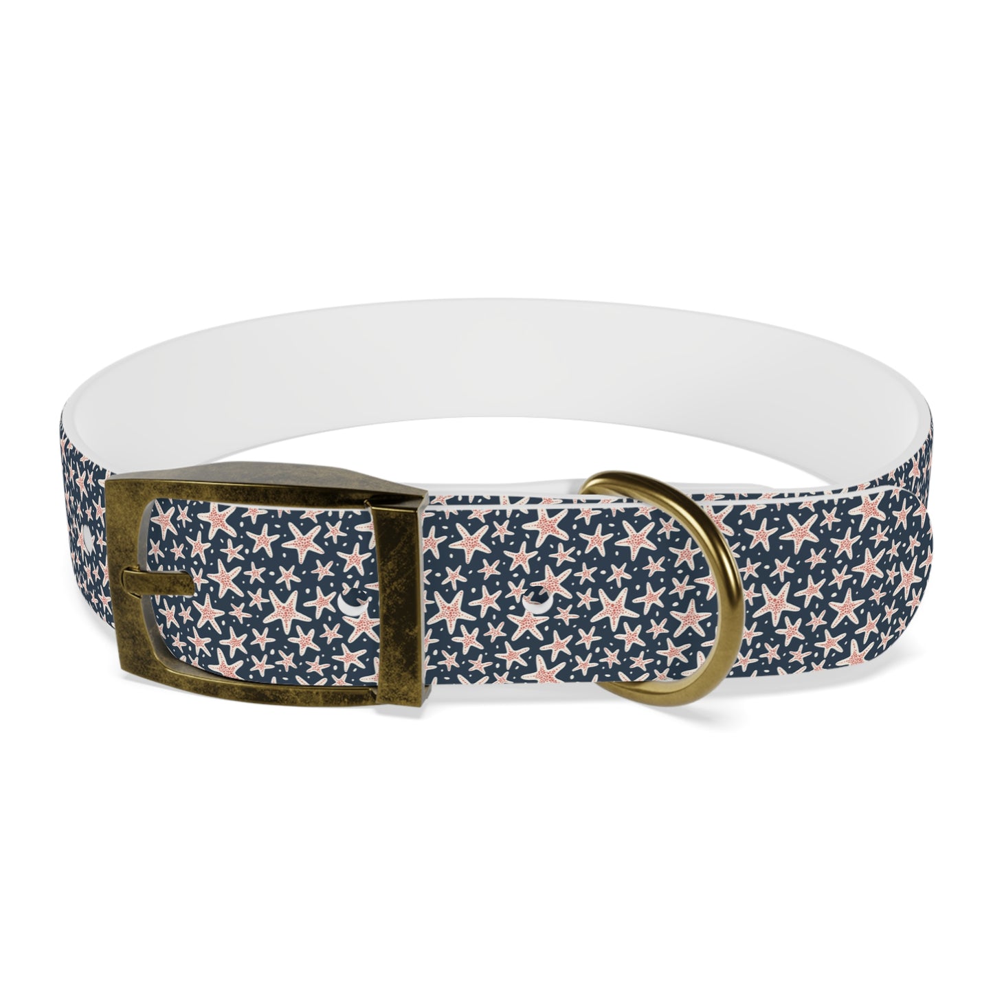 Customized Starfish Design Dog Collar - "Max"