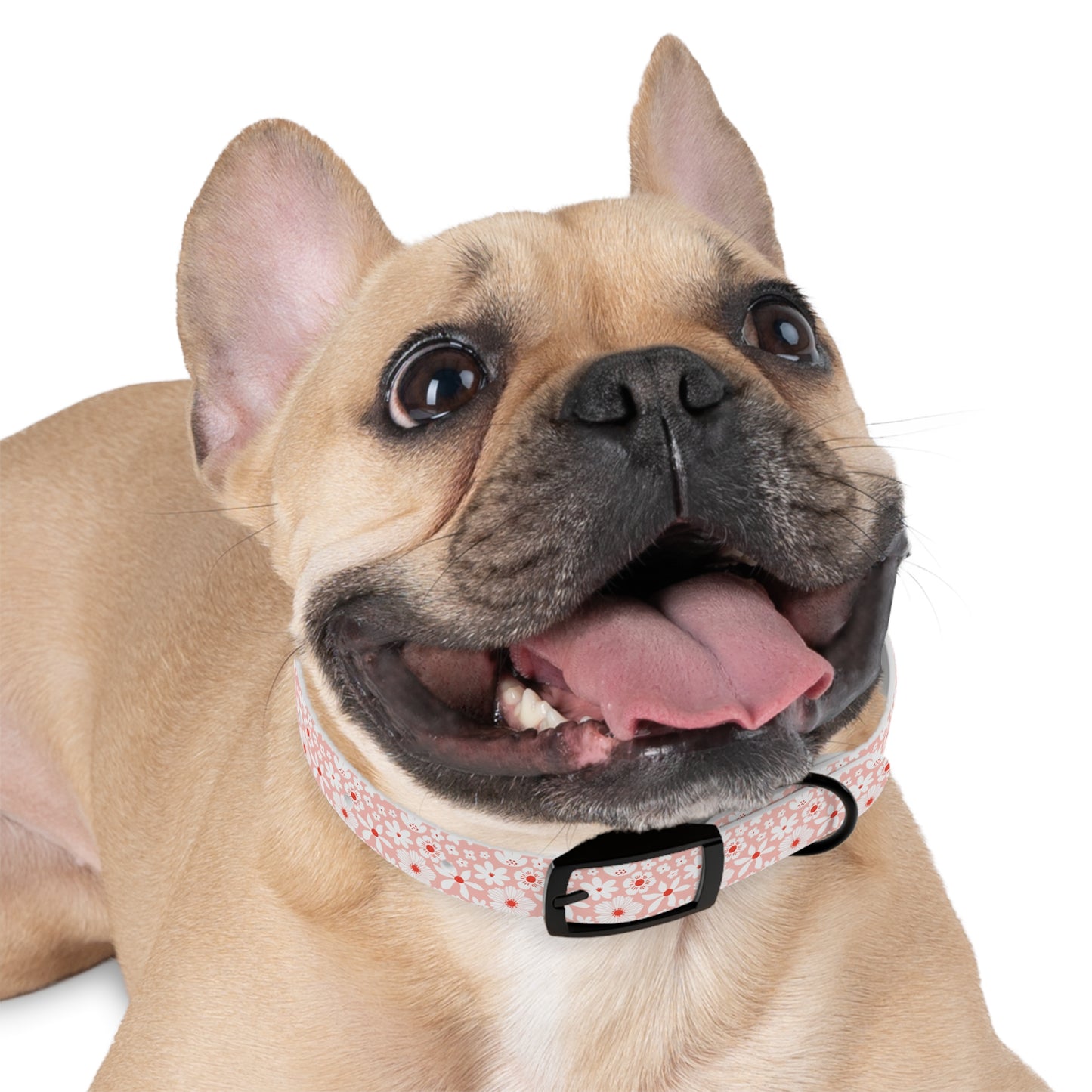 Customized Pink Boho Design Dog Collar - "Daisy"