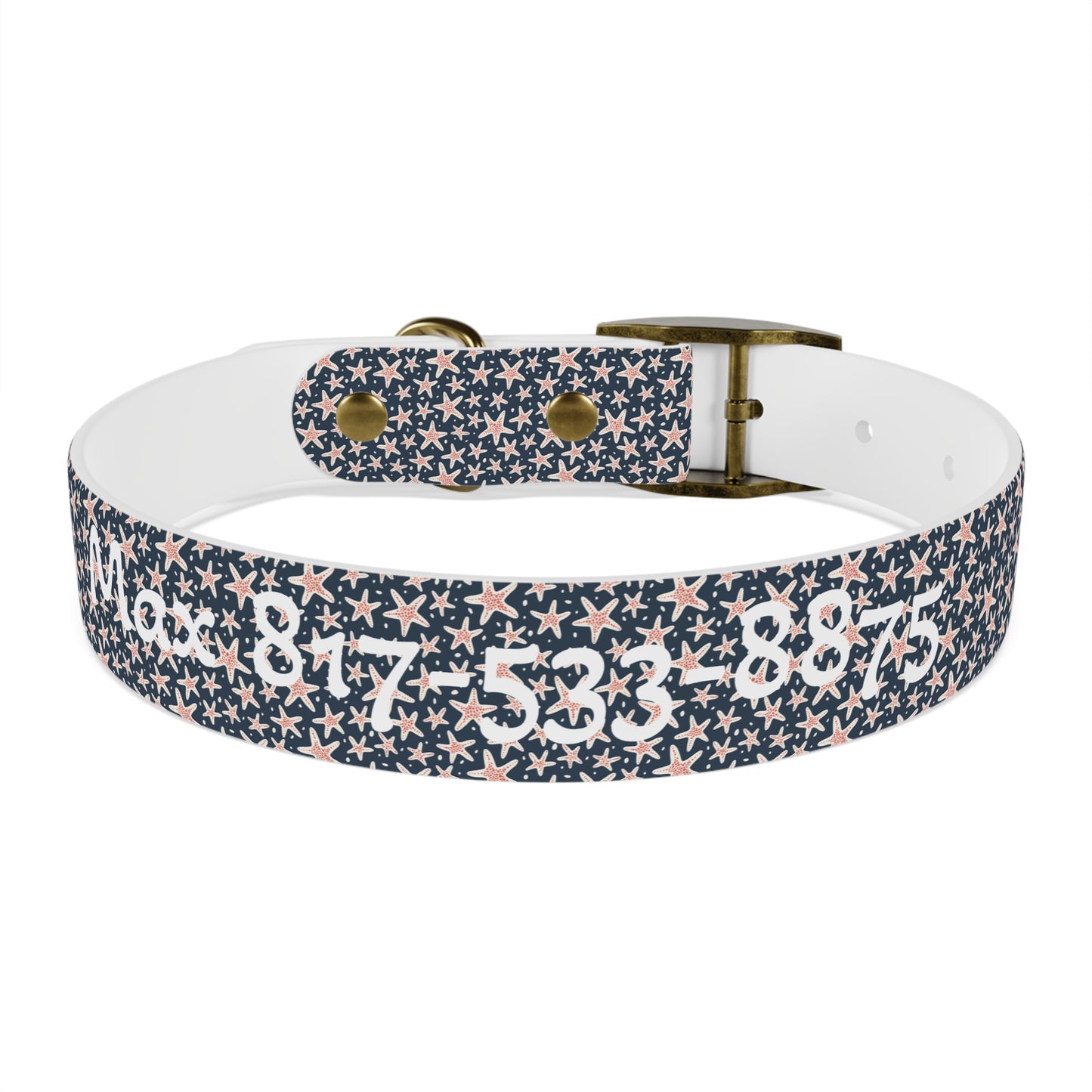 Customized Starfish Design Dog Collar - "Max"