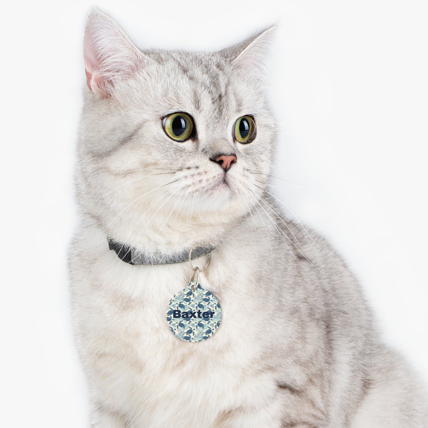 Customized Pet ID Tag - Baxter
