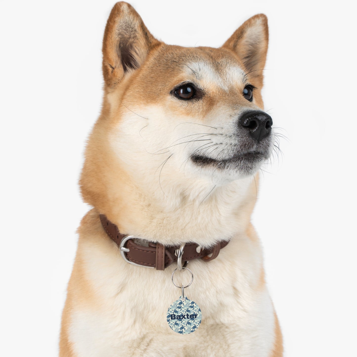 Customized Pet ID Tag - Baxter