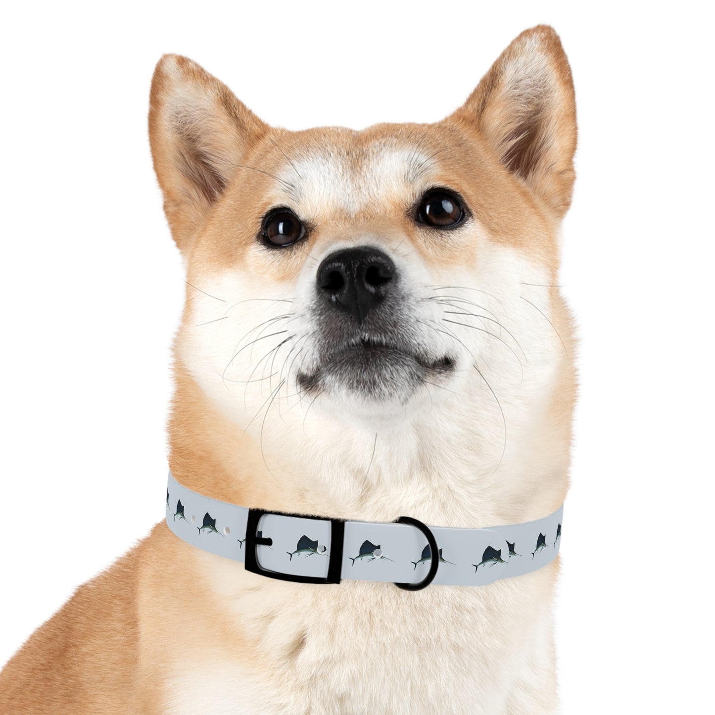 Customized Sailfish Design Dog Collar - "Beau"