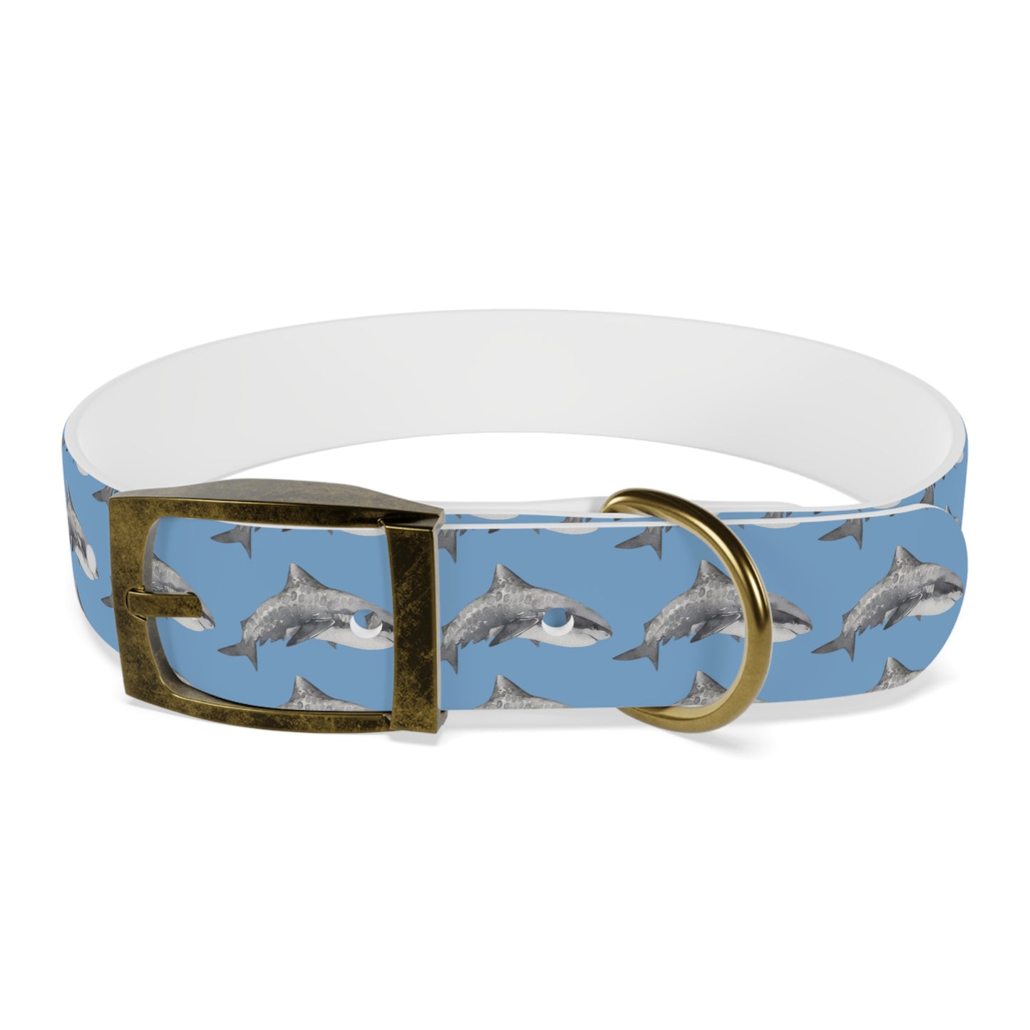 Customized Tiger Shark Design Dog Collar - "Zeke"