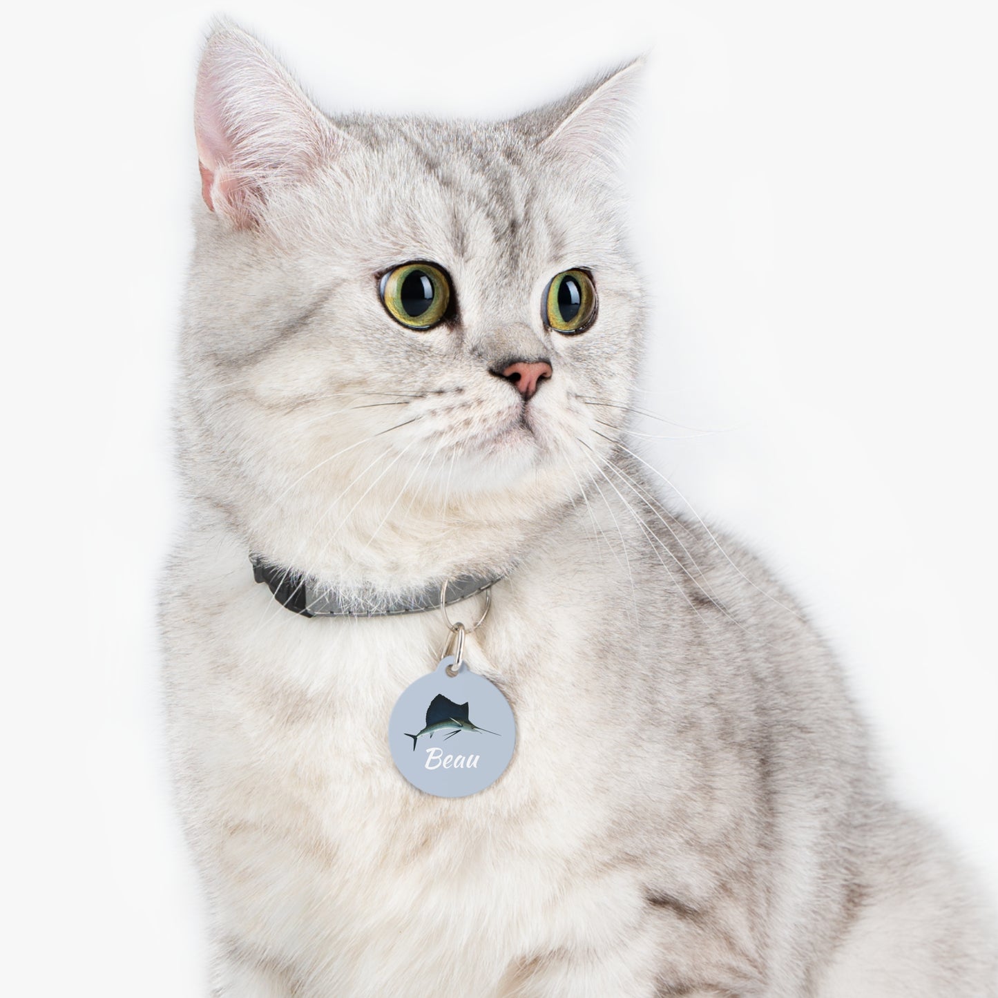 Customized Pet ID Tag - "Beau"
