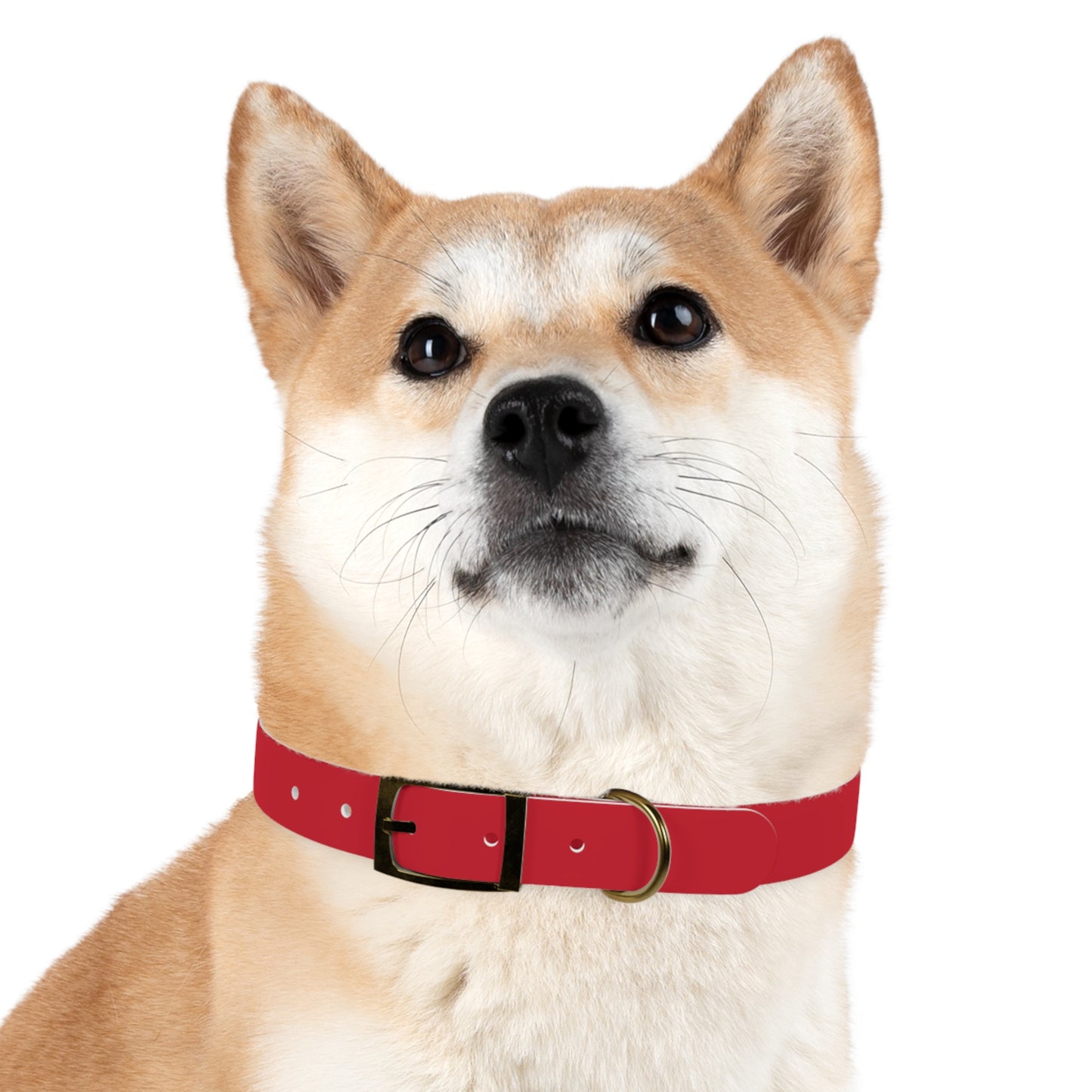 Customized Red Dog Collar, With Phone Number - "Lucy"
