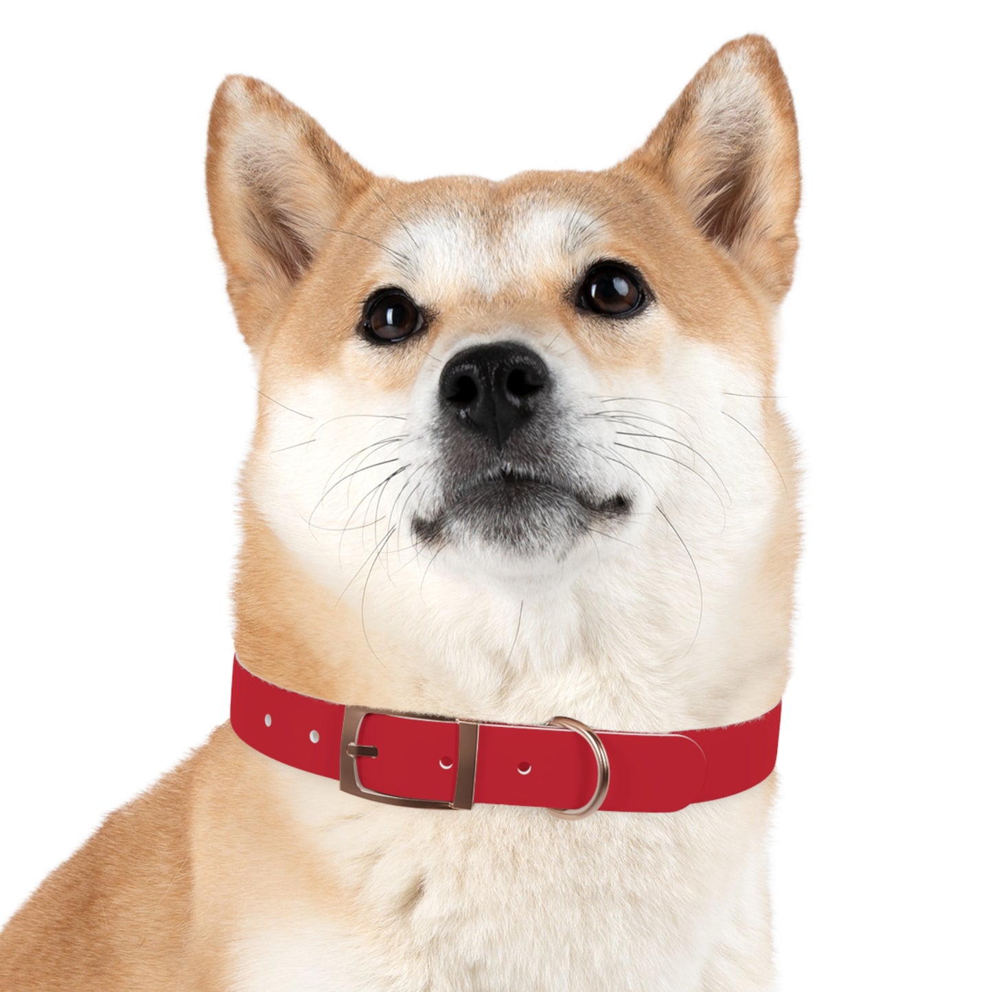 Customized Red Dog Collar, With Phone Number - "Lucy"