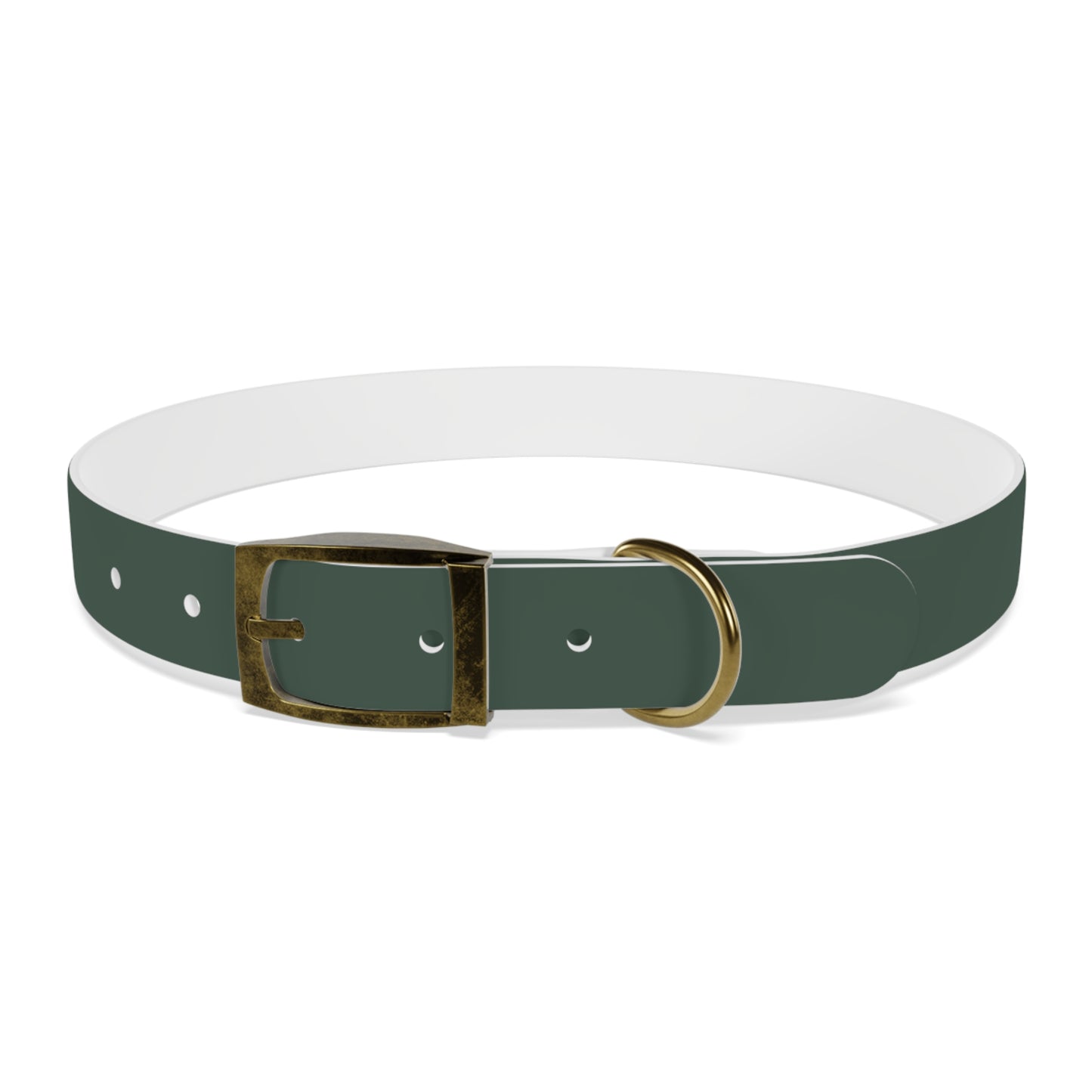Customized Green Dog Collar, With Phone Number - "Lucy"