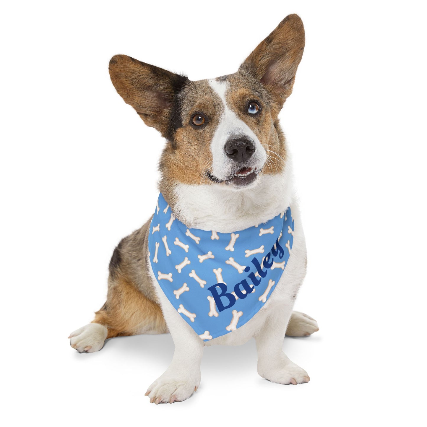 Customized Blue Pet Bandana Collar - "Bailey"