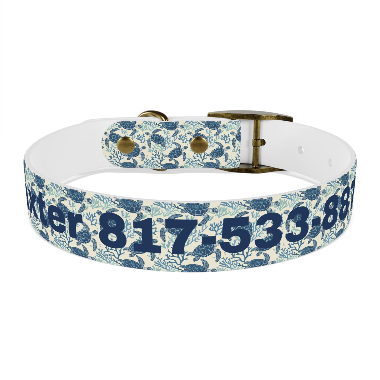 Customized Sea Turtle Design Dog Collar - "Baxter"