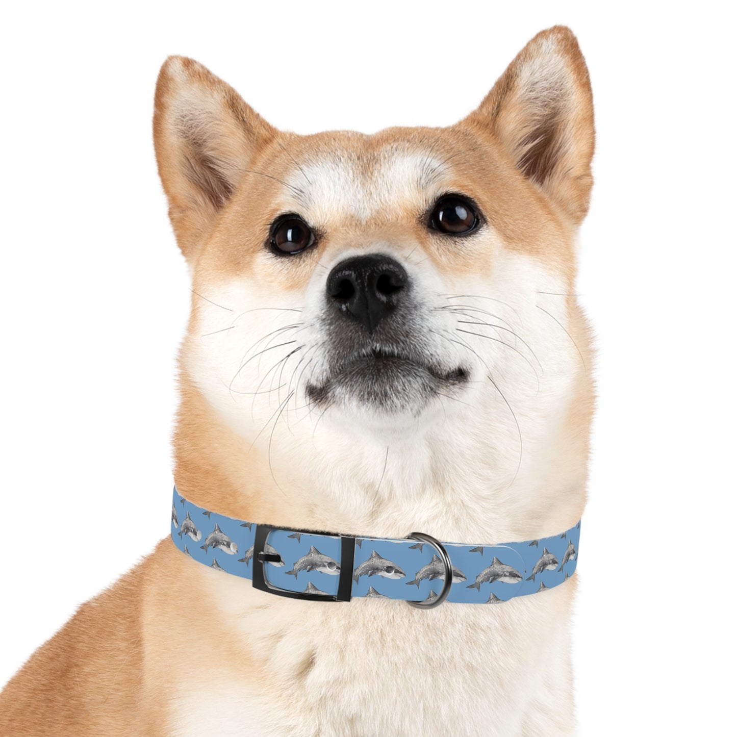 Customized Tiger Shark Design Dog Collar - "Zeke"