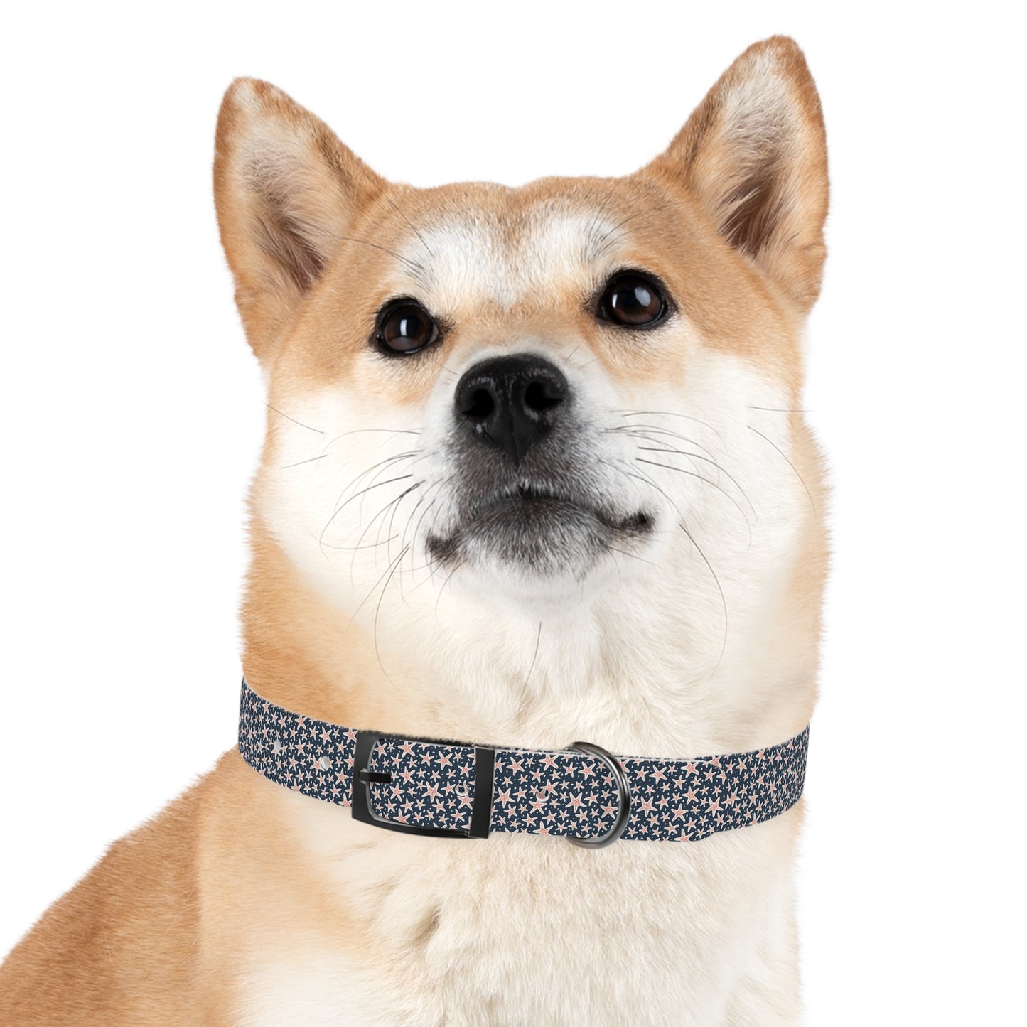 Customized Starfish Design Dog Collar - "Max"