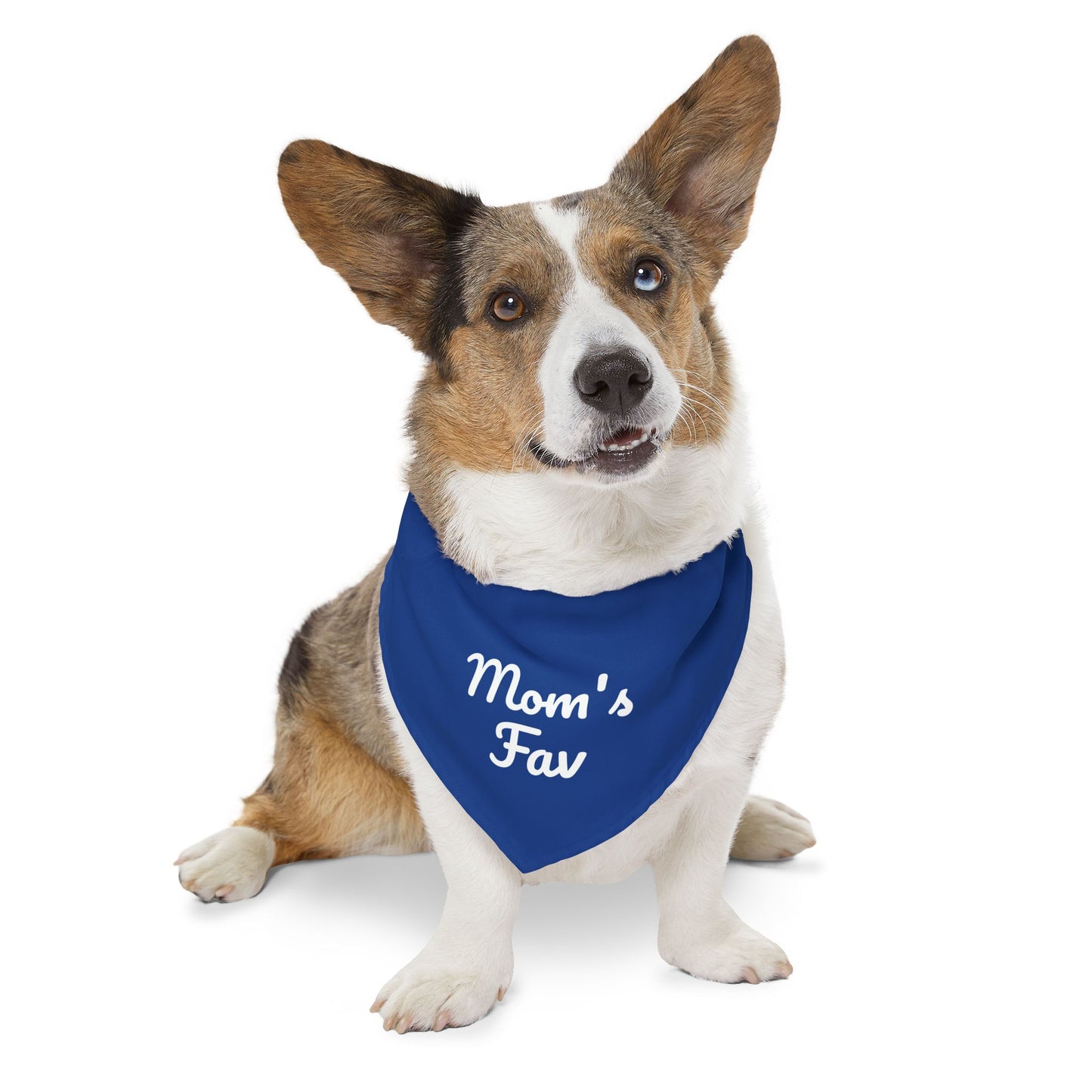 Pet Bandana Collar - "Mom's Fav"
