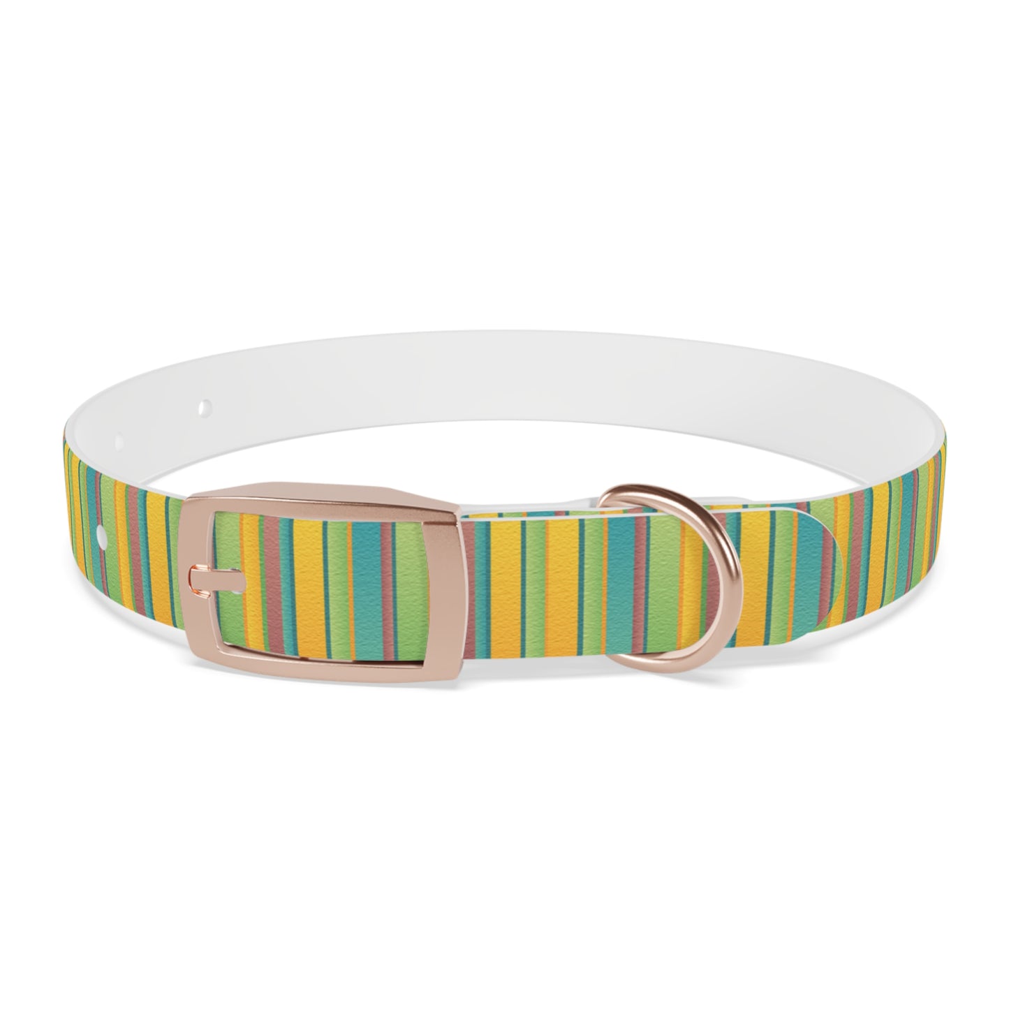 Colorful Personalized Dog Collar