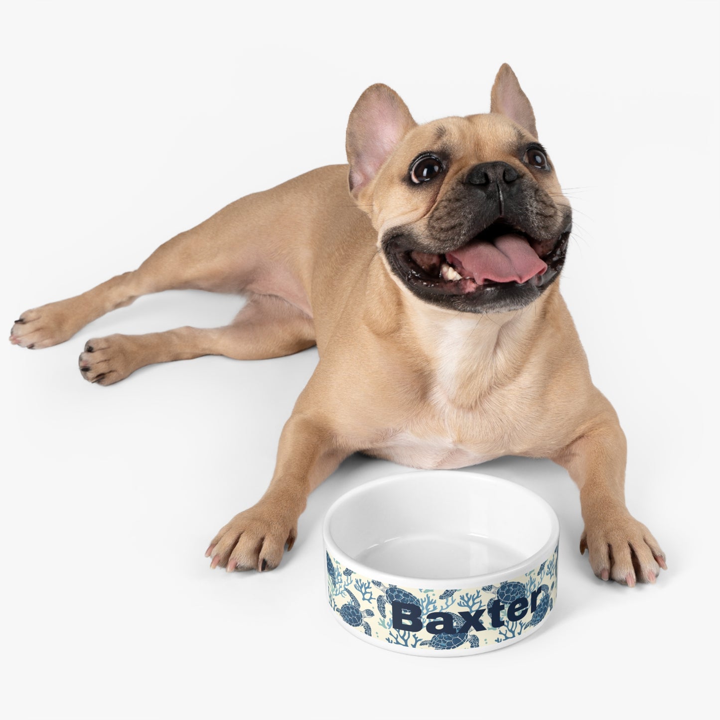 Customized Pet Bowl - "Baxter"