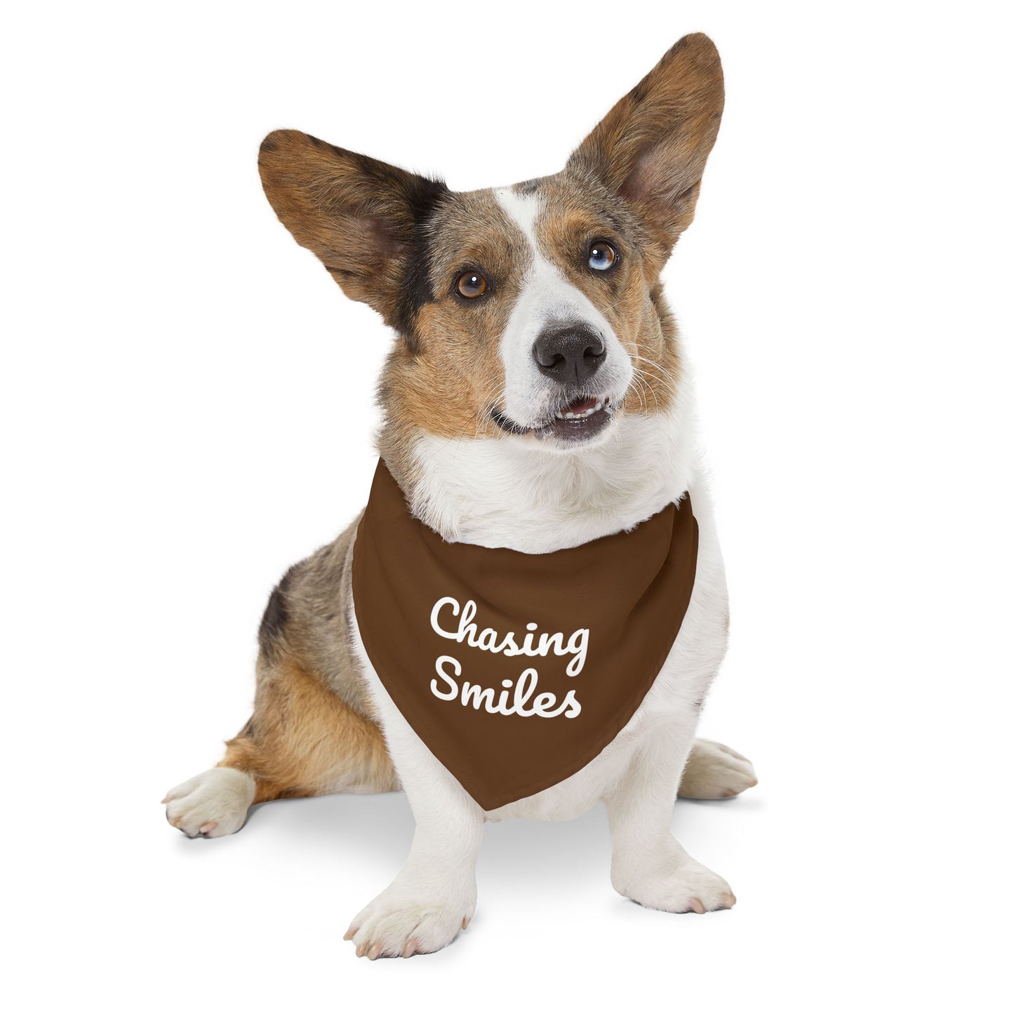 Pet Bandana Collar - "Chasing Smiles"