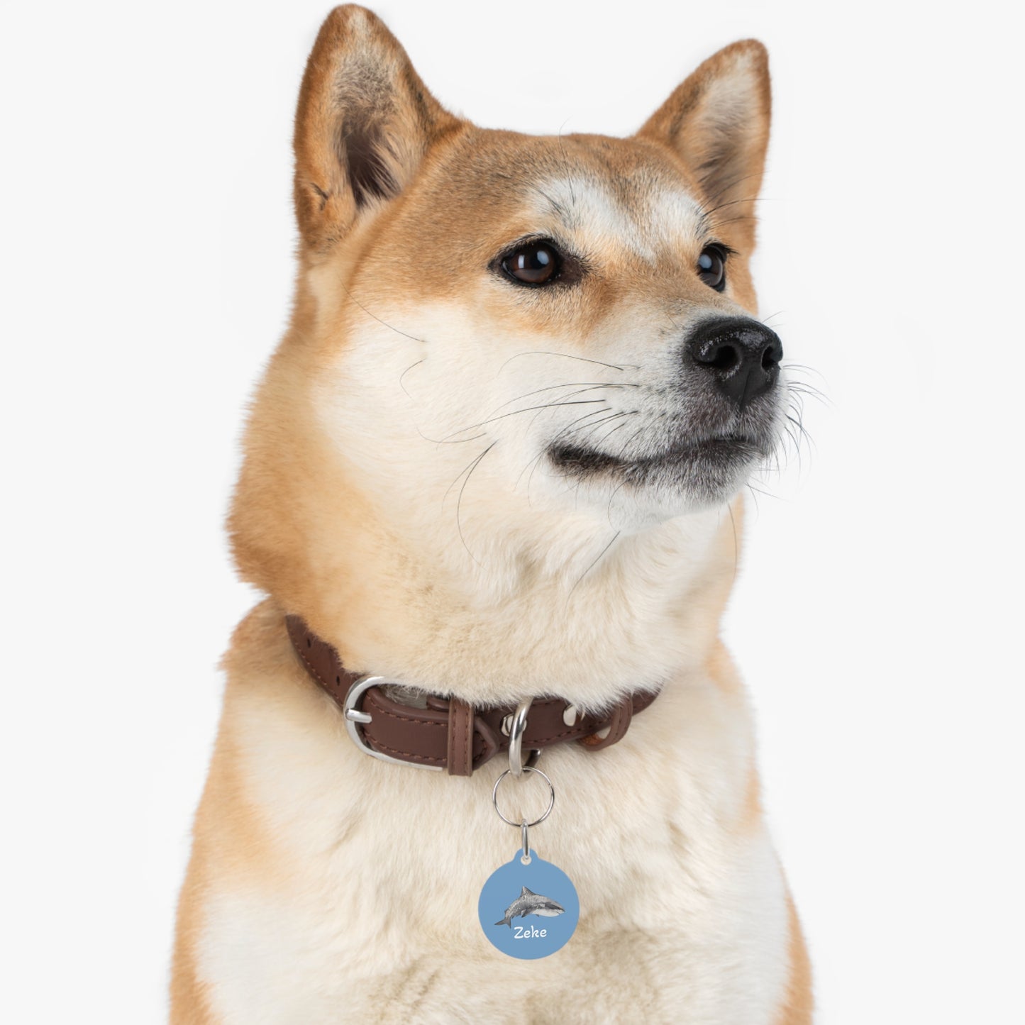 Customized Pet ID Tag - Zeke