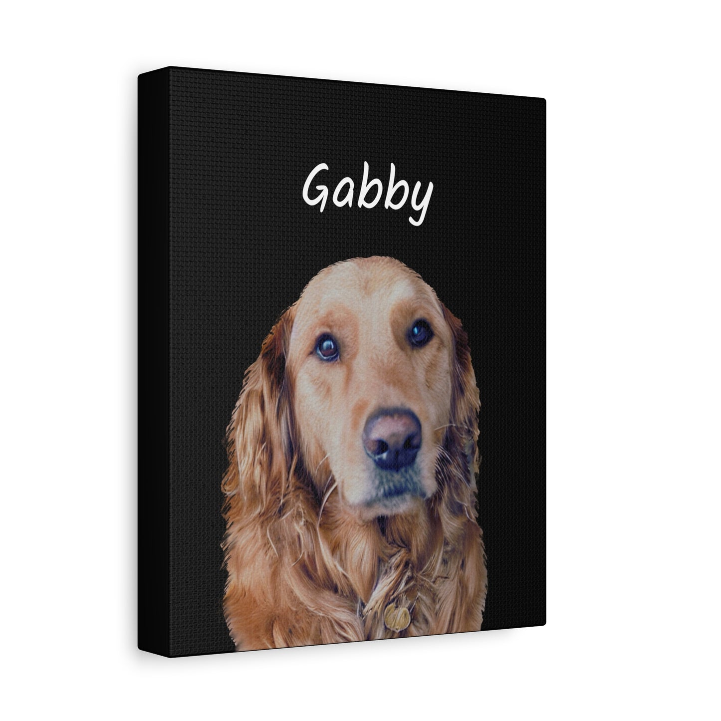 Custom Pet Art Canvas Wrap