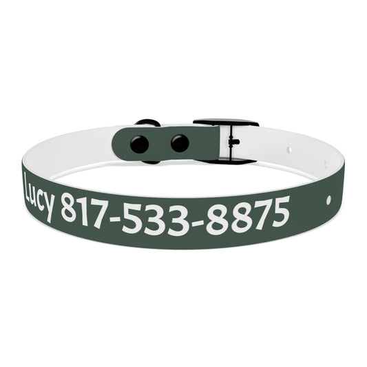 Customized Green Dog Collar, With Phone Number - "Lucy"