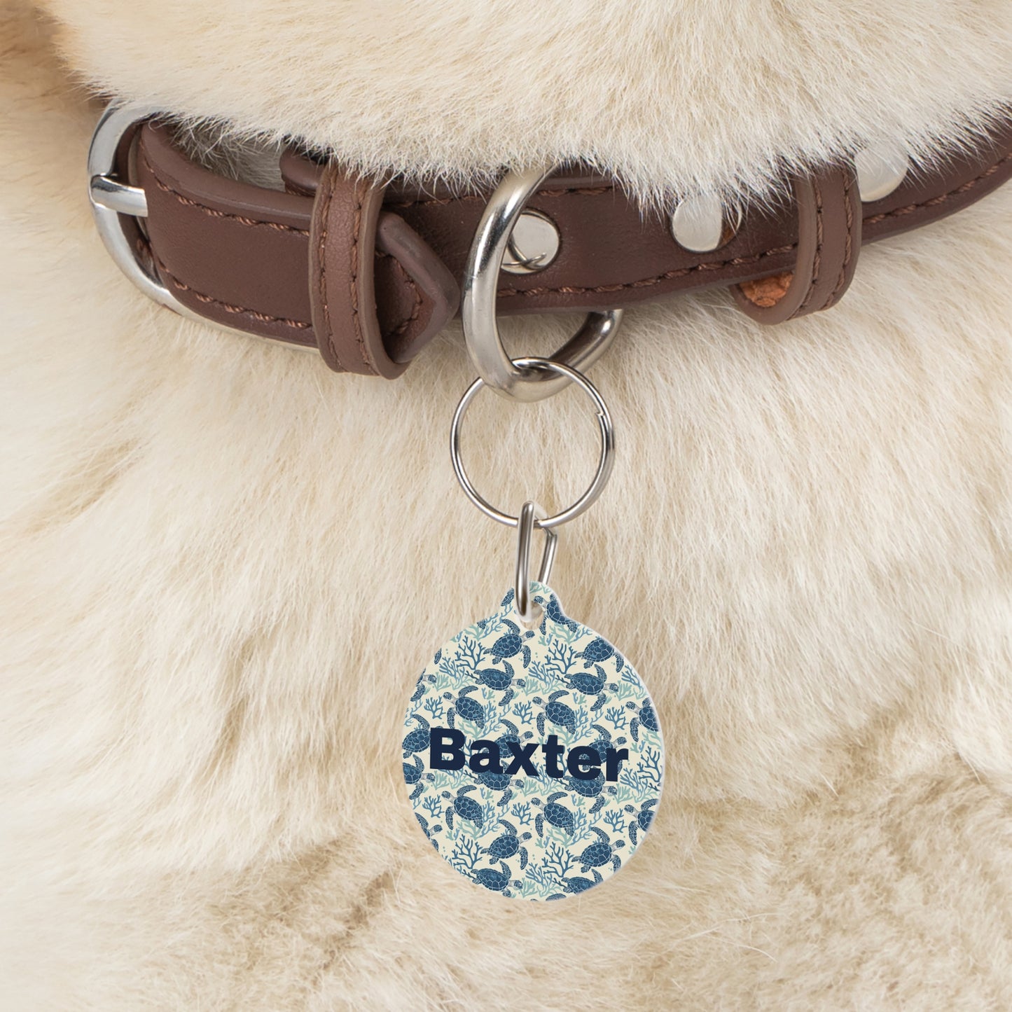 Customized Pet ID Tag - Baxter