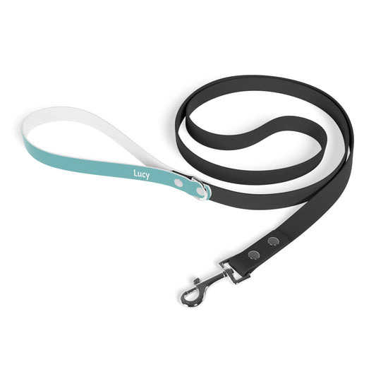 Customized Pet Leash  - "Lucy" - 78" Sea Green Leash