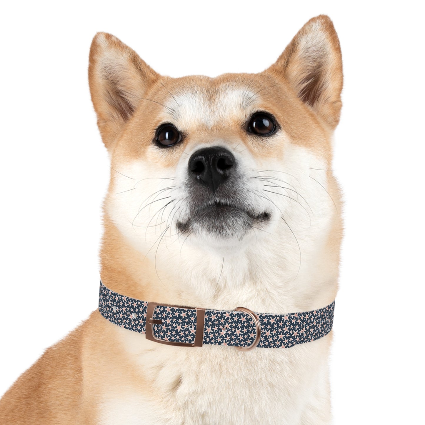 Customized Starfish Design Dog Collar - "Max"