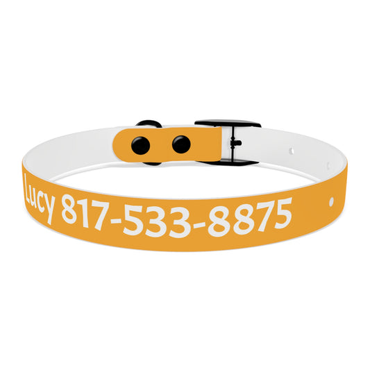 Customized Yellow Dog Collar, With Phone Number - "Lucy"