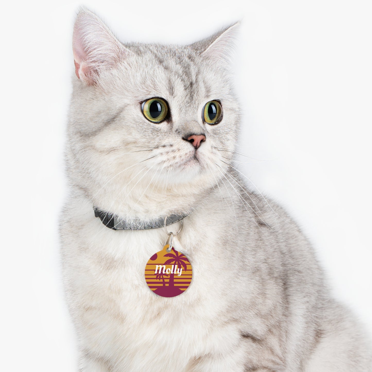 Pet ID Tag - Molly - Retro Tropical