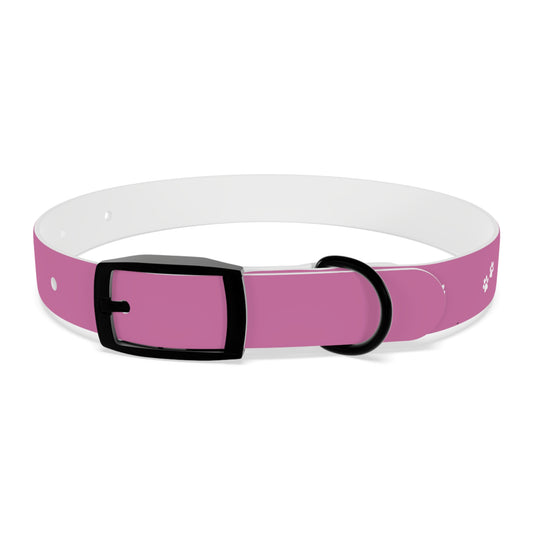 Pink Dog Collar With Phone Number